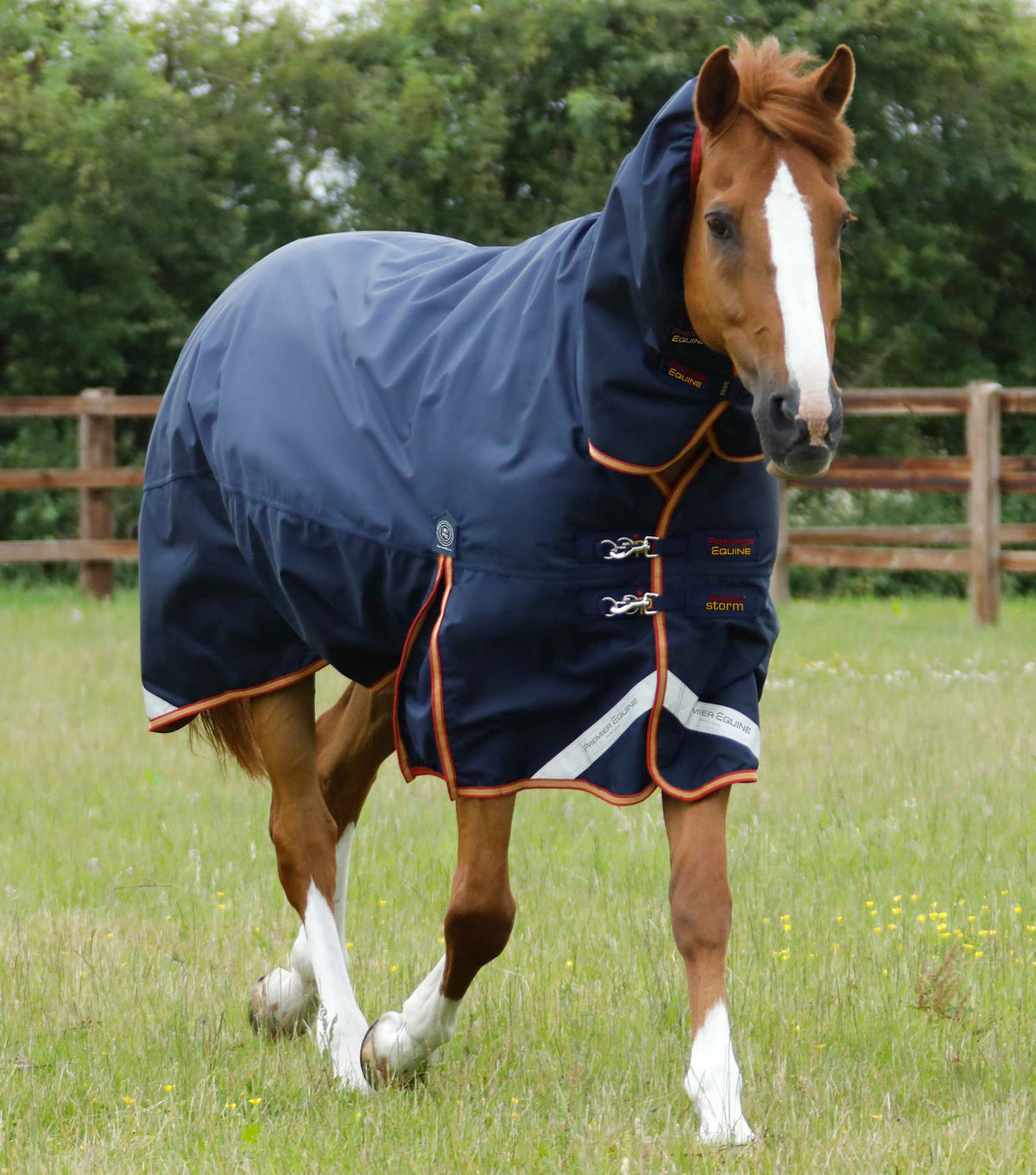 Titan Storm 450g Combo Turnout Rug with Snug-Fit Neck