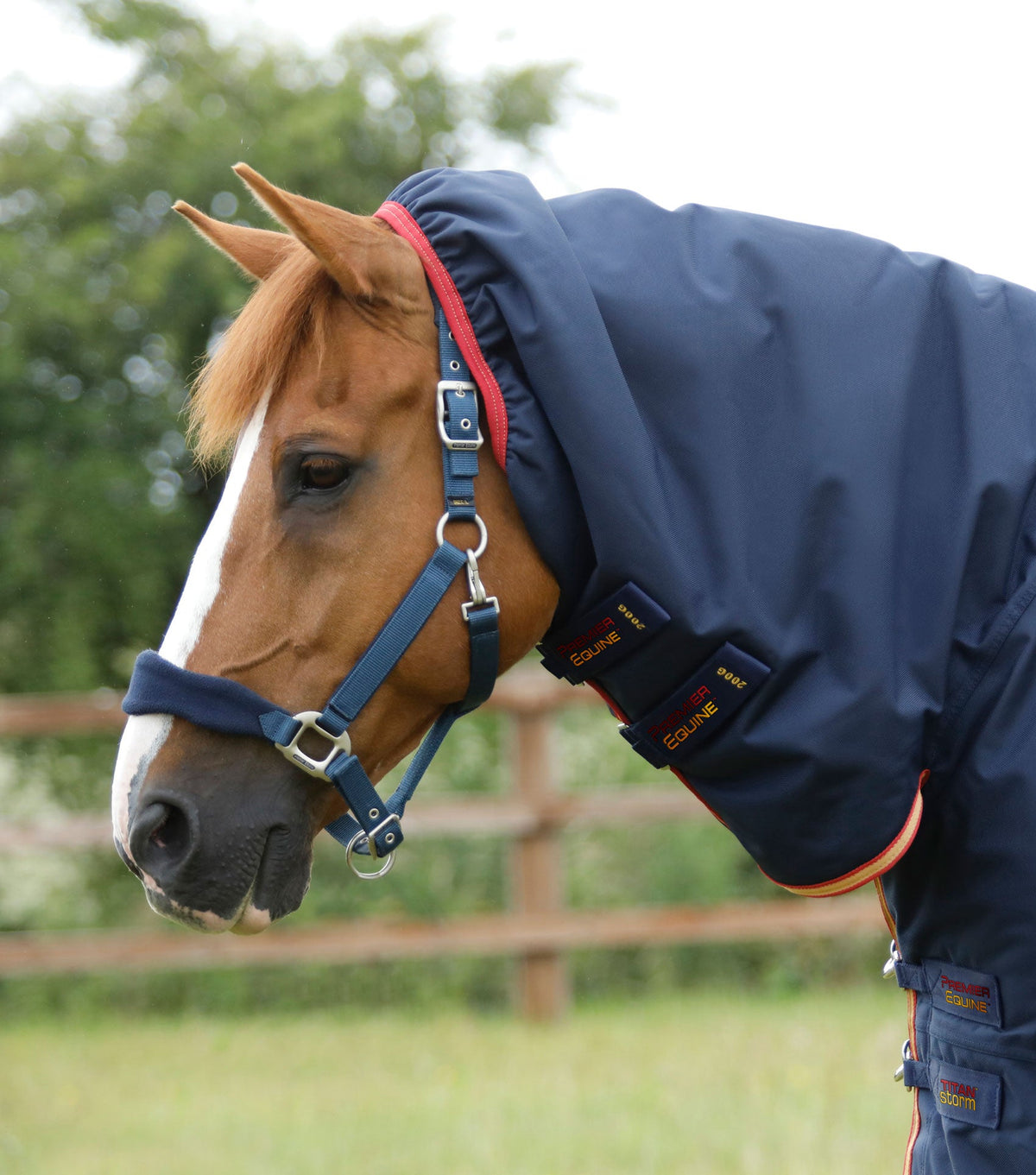 Titan Storm 450g Combo Turnout Rug with Snug-Fit Neck