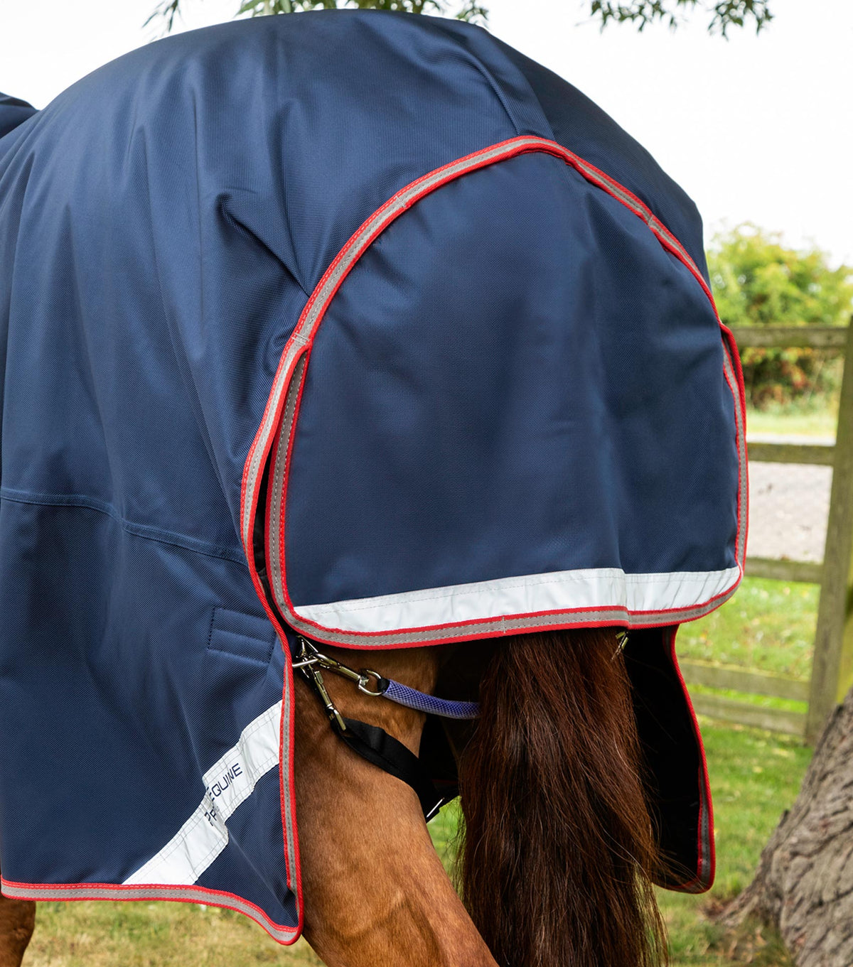 Titan Trio Complete 4 in 1 Turnout Rug