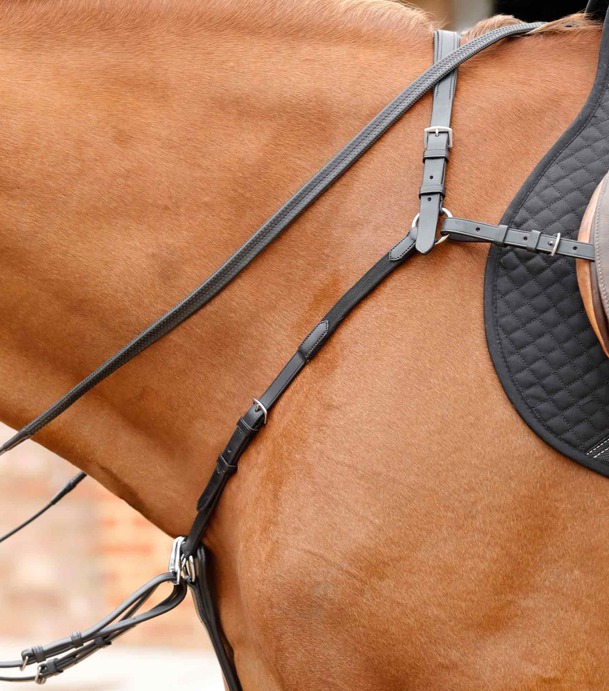 Valbrona Performance Breastplate