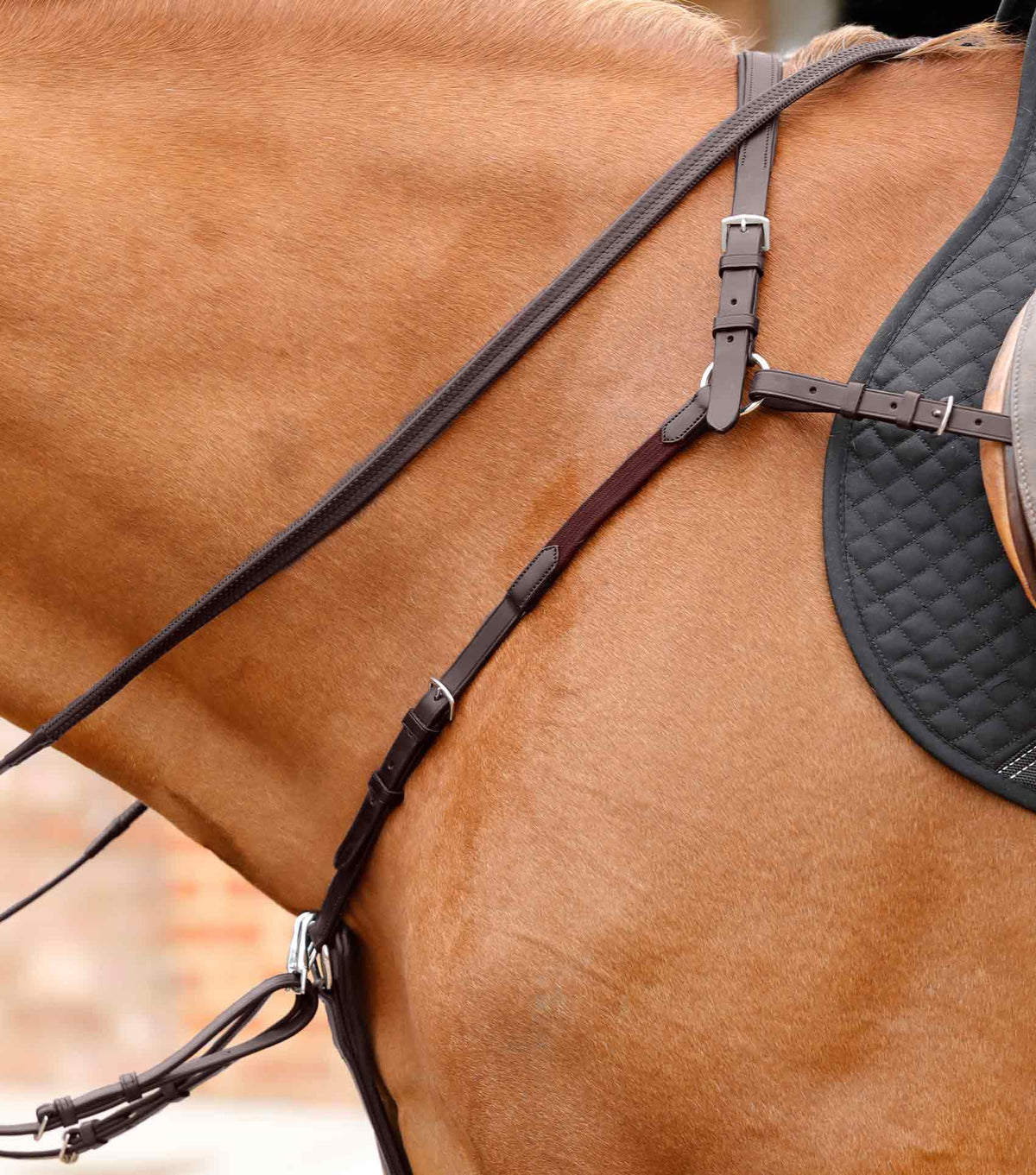 Valbrona Performance Breastplate