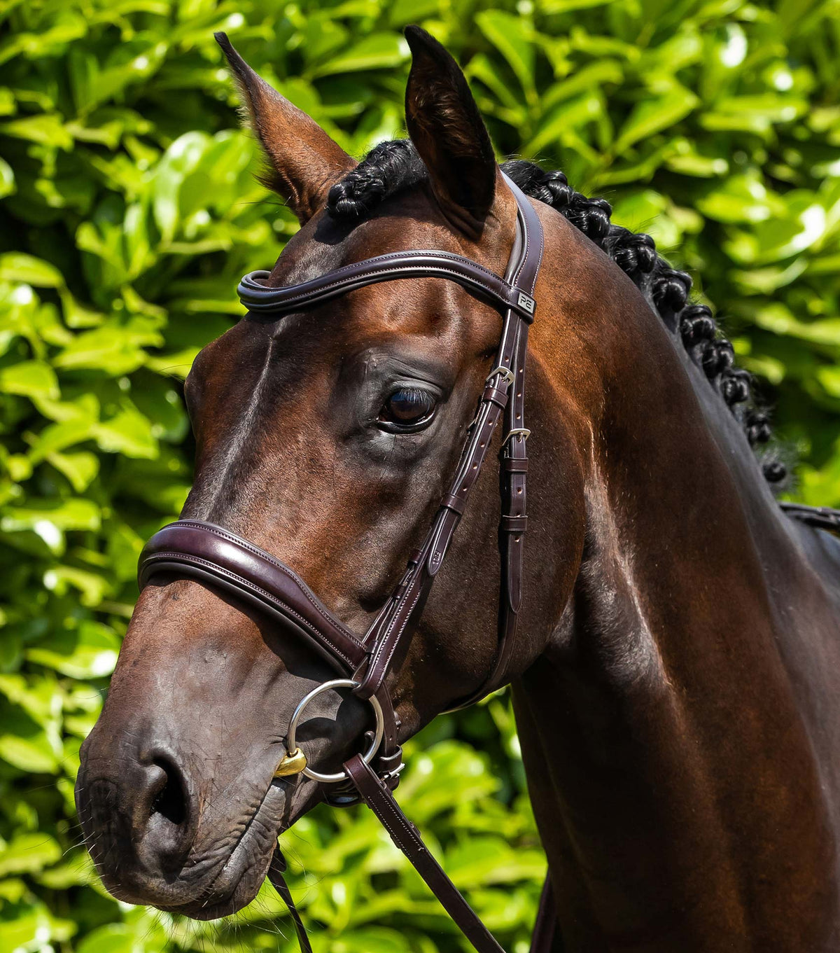 Verdura Anatomical Snaffle Bridle