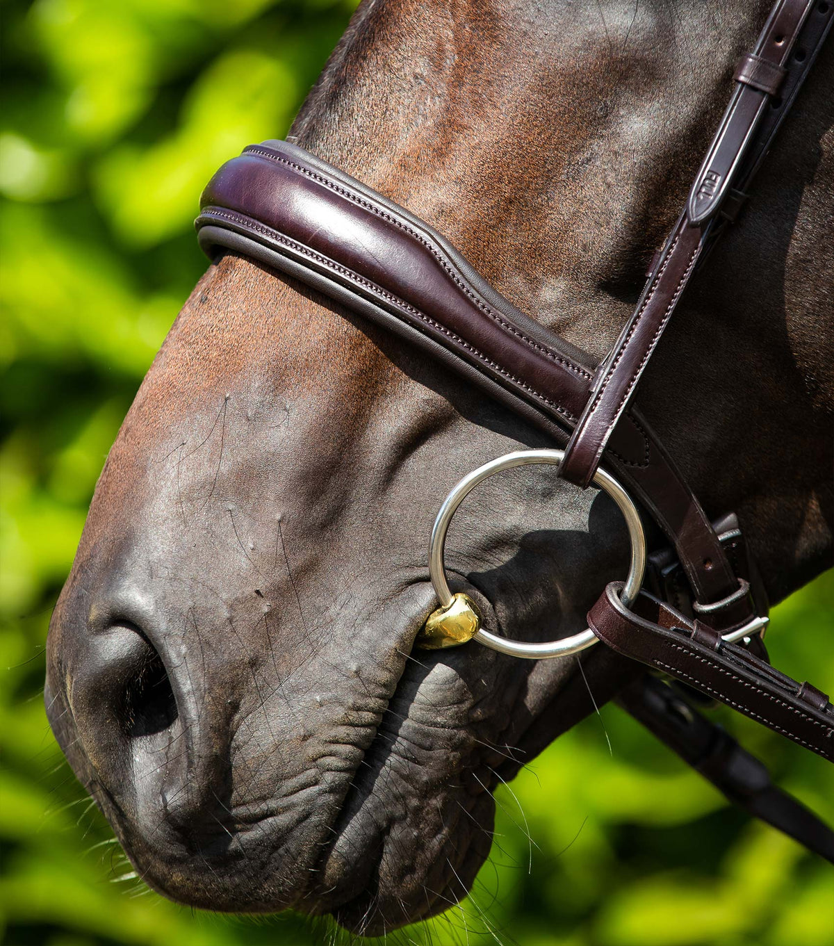 Verdura Anatomical Snaffle Bridle
