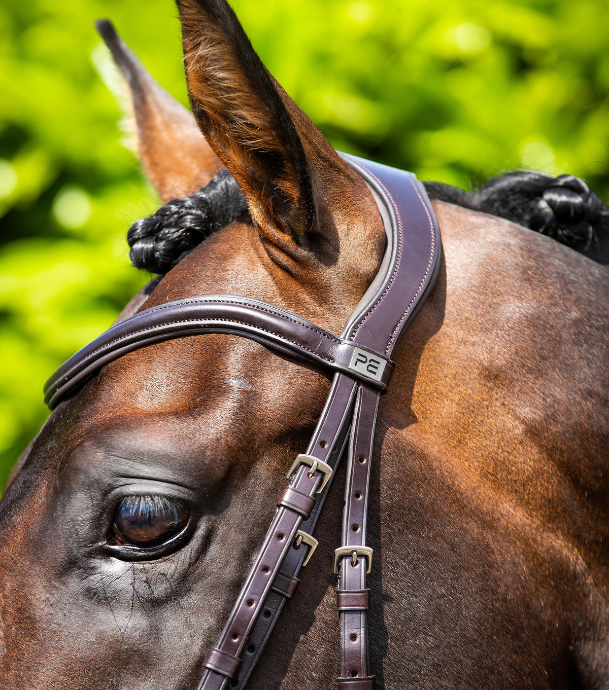 Verdura Anatomical Snaffle Bridle