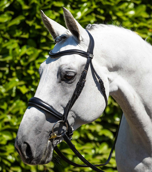 Verdura Anatomical Snaffle Bridle