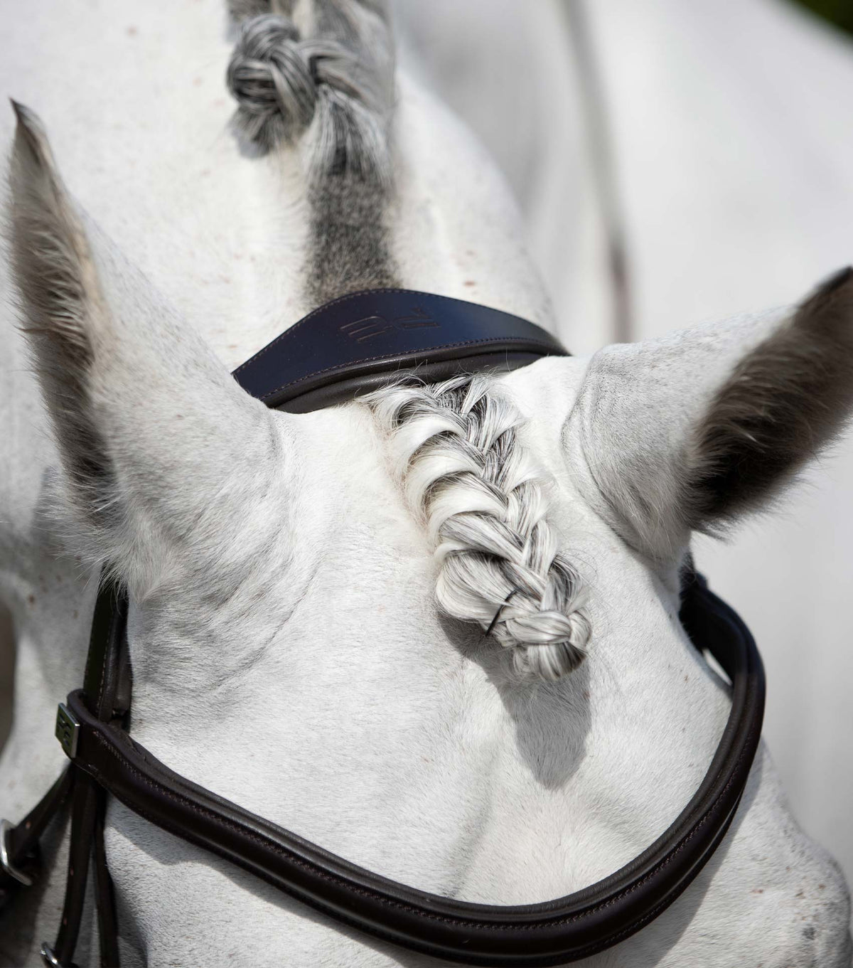 Verdura Anatomical Snaffle Bridle