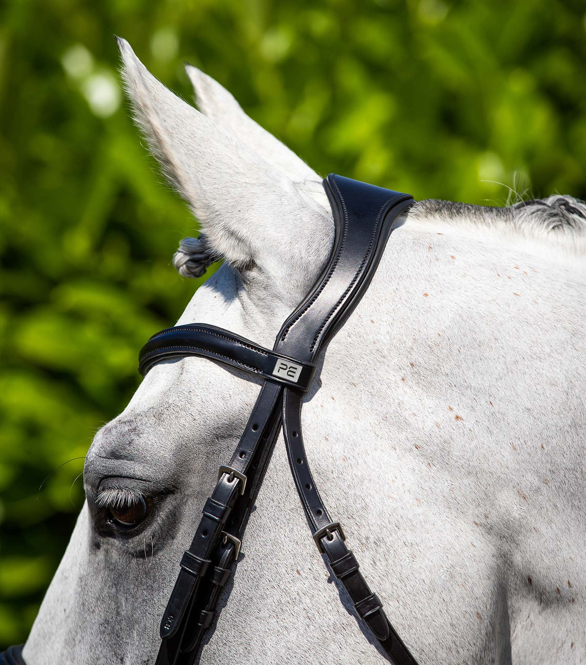 Verdura Anatomical Snaffle Bridle