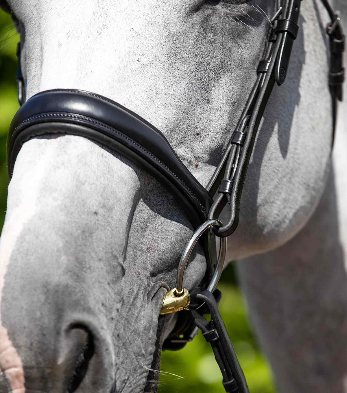 Verdura Anatomical Snaffle Bridle