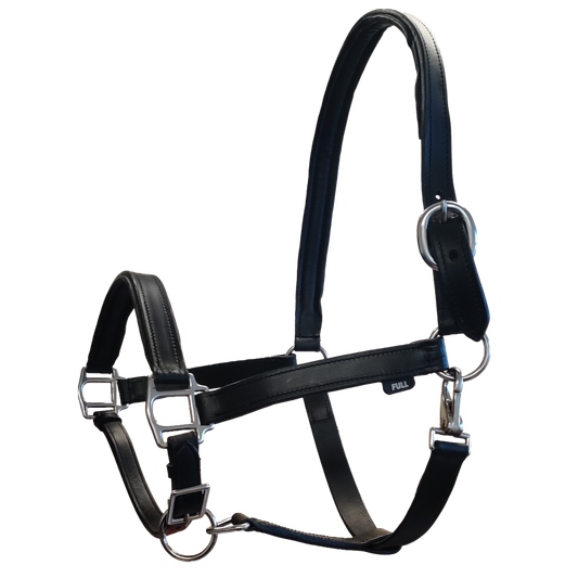 Padded Leather Headcollar
