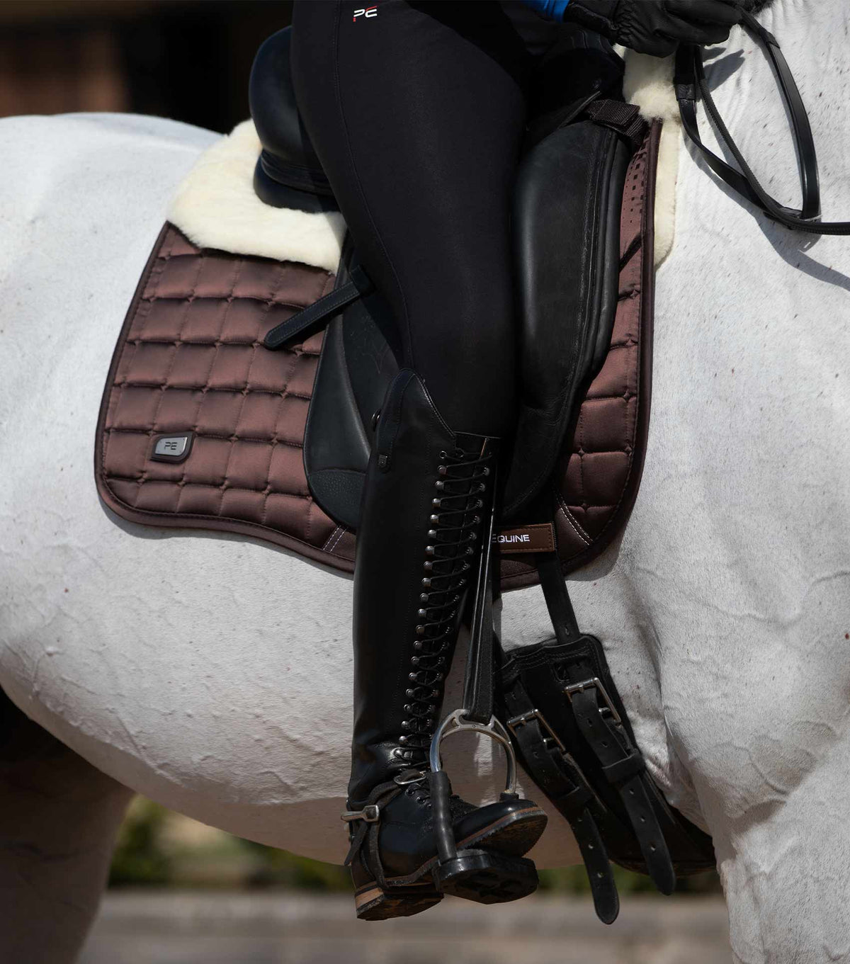 Capella Close Contact Merino Wool Dressage Square