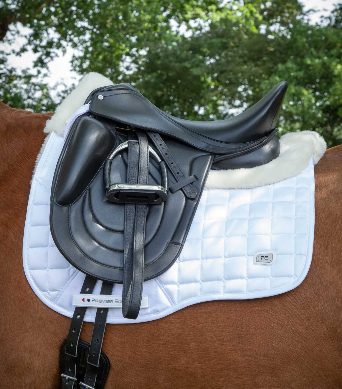 Capella Close Contact Merino Wool Dressage Square