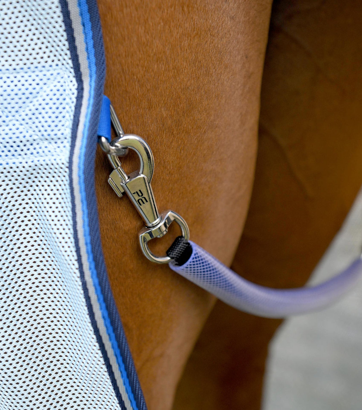 Combo Bug Buster Fly Rug with Belly Flap