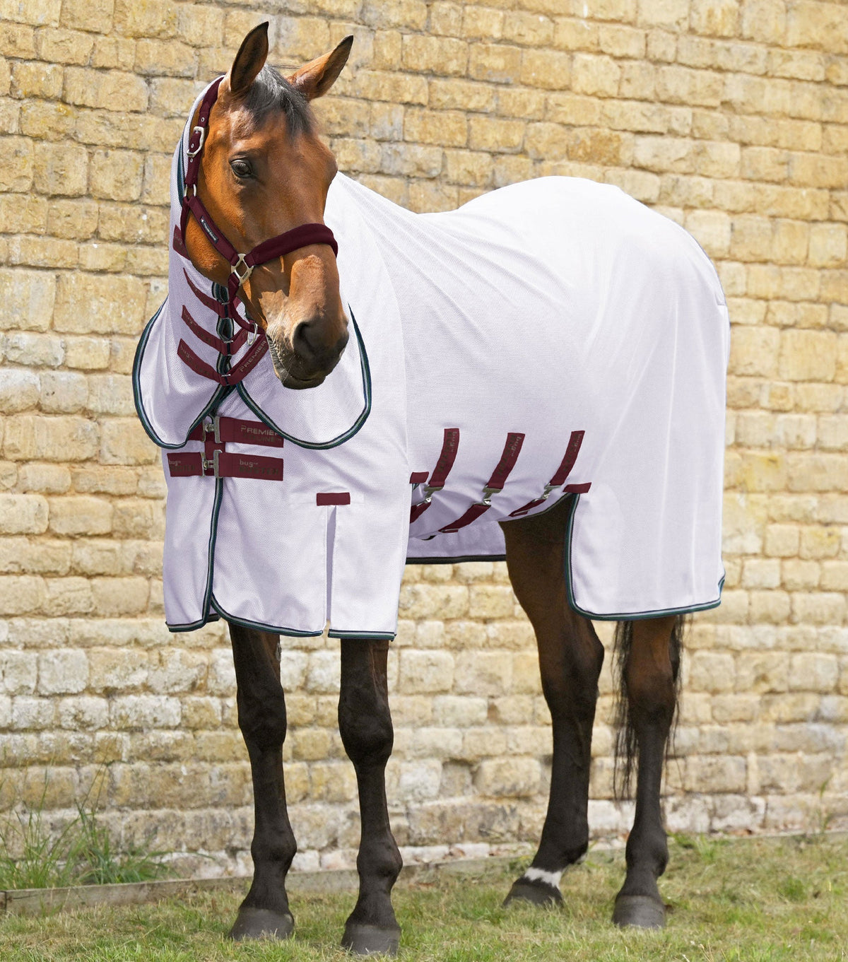 Combo Bug Buster Fly Rug with Belly Flap
