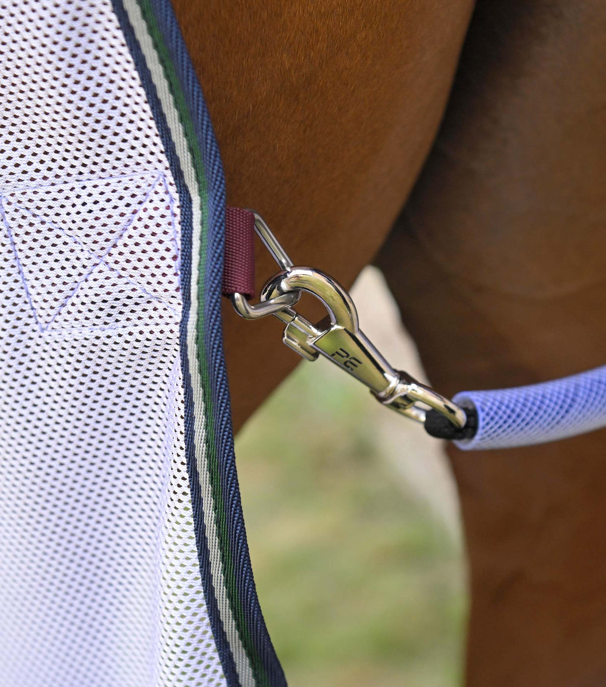 Combo Bug Buster Fly Rug with Belly Flap