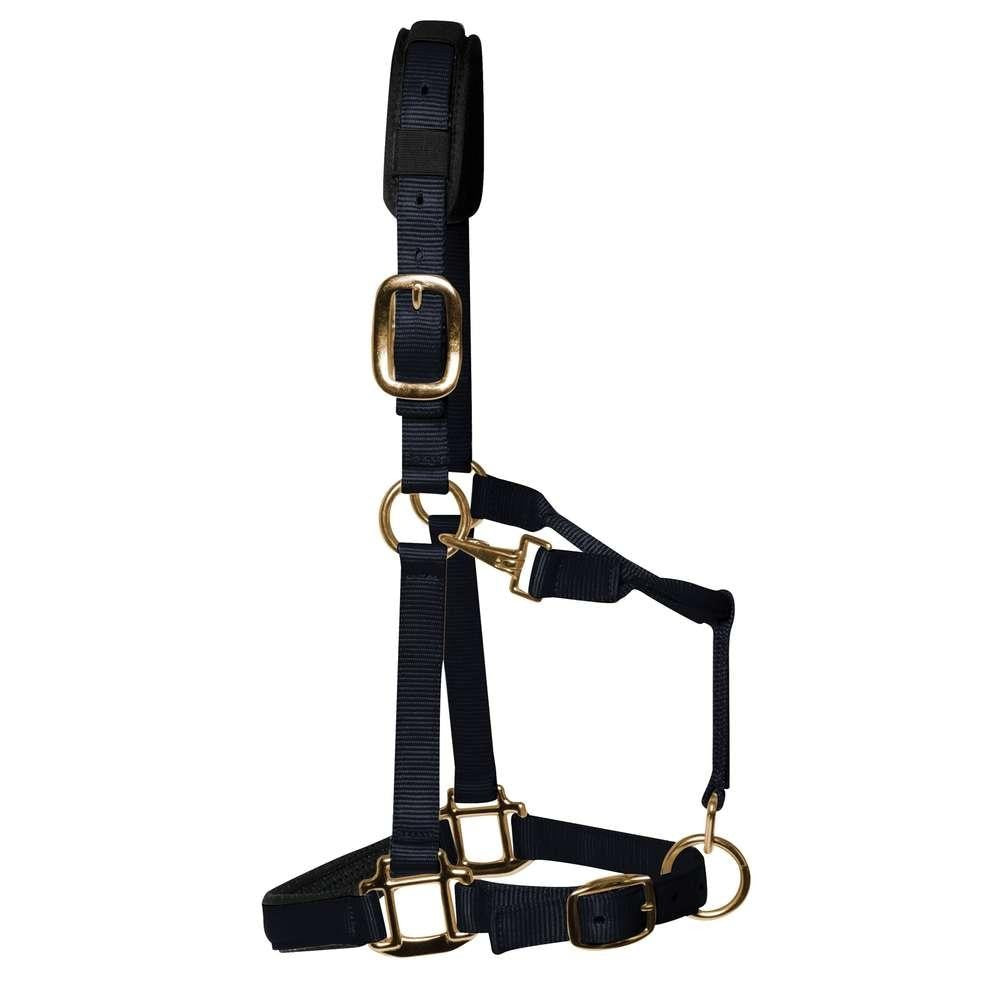 KM Elite Luxury Padded Headcollar