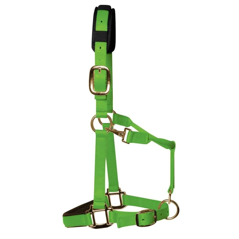 KM Elite Luxury Padded Headcollar