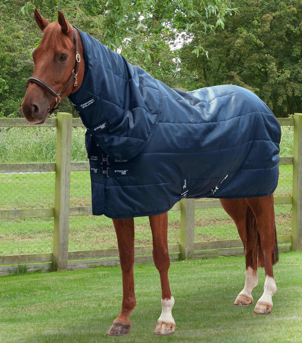 Stratus Stable Rug 100g with Neck Cover
