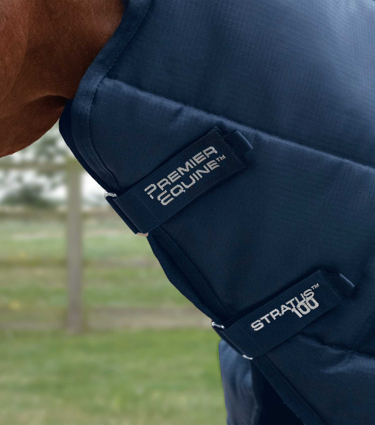 Stratus Stable Rug 100g with Neck Cover