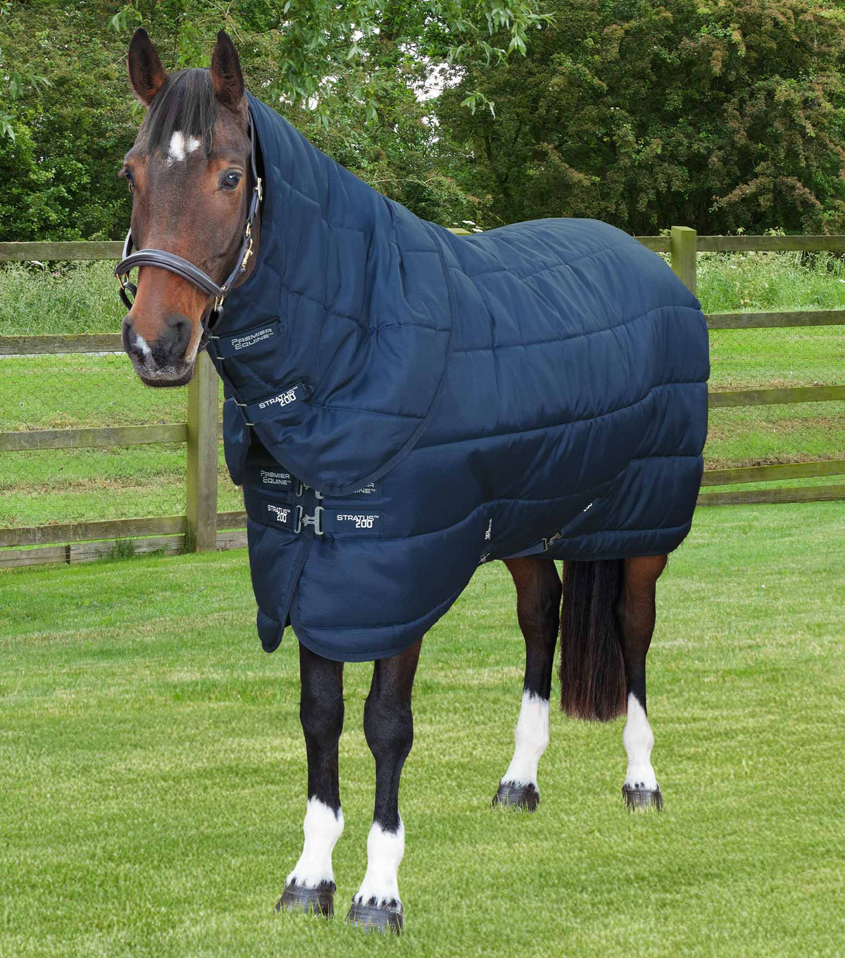 Stratus Stable Rug 200g with Neck Cover