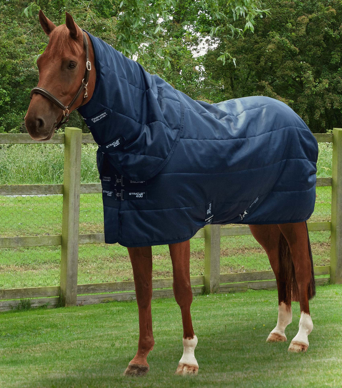 Stratus Stable Rug 400g with Neck Cover