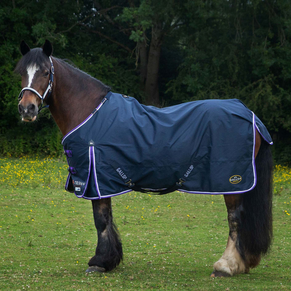 TROJAN Duraproof Lightweight Turnout Rug – Navy – 5'6"