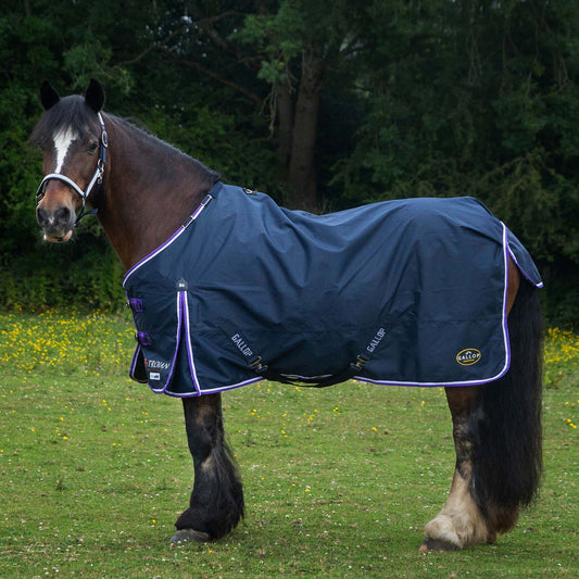 TROJAN Duraproof Lightweight Turnout Rug – Navy – 6'3"